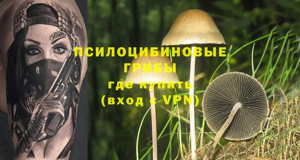 альфа пвп Бугульма