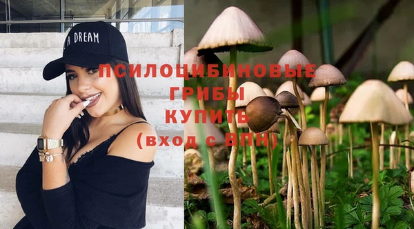 каннабис Бородино