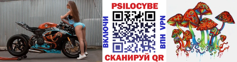 Купить закладки  Лянтор  Псилоцибиновые грибы Cubensis 